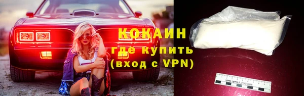 дмт Краснослободск