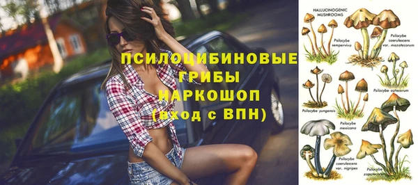 эйфоретик Куйбышев