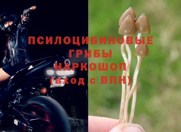 спиды Кулебаки