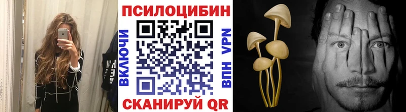 Купить  Вытегра  Псилоцибиновые грибы Magic Shrooms 